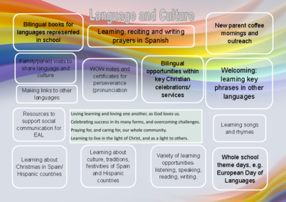 Language and Culture Curriculum Vision